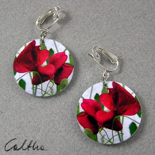 kwiaty 3 Caltha