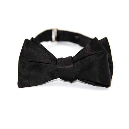 Muszka jedwabna wiązana The Bow Bow Ties