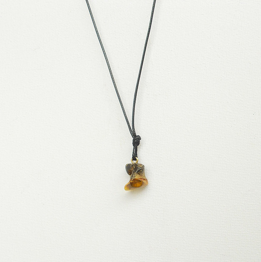 wisiory Wisiorek z bursztynem No 2