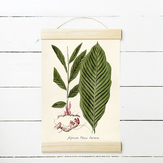 ALPINA - rycina, plakat 21x30 cm MUKKO