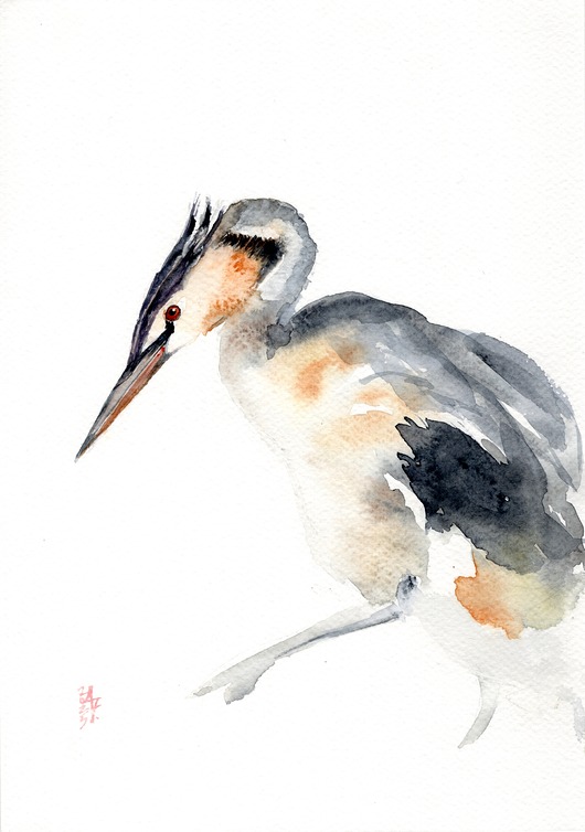 obrazy Oryginalna akwarela. Perkoz dwuczuby