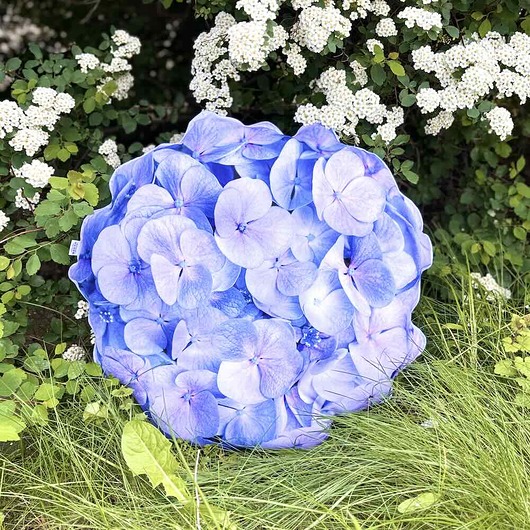 poduszki z grafiką Poduszka Wodoodporna Duża Kwiat  Hortensja Blue