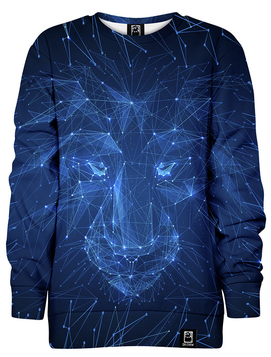 bluzy dla chłopców Bluza bez kaptura Chłopiec DR.CROW Lew Laser