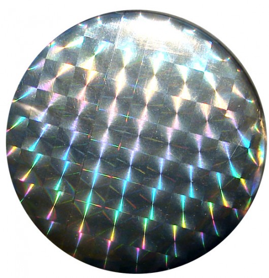 disco Monika Roth