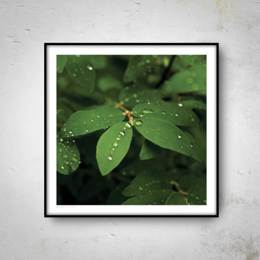 RAIN DROPS I  50x50 mucca by mua