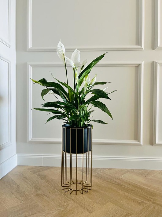 kwietniki Kwietnik metalowy stojący GOLD Design LOFT 42cm