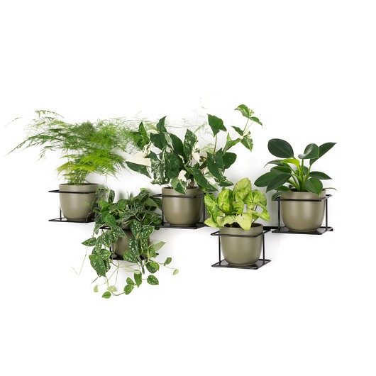 kwietniki Kwietnik Dżungla 4 czarny