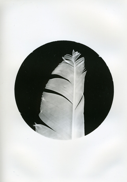 fotografia Roztsrojone 3