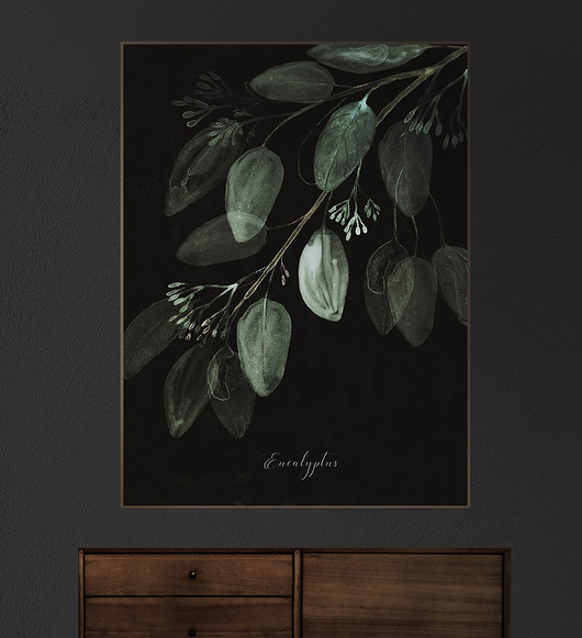 Eukaliptus 50x70 cm Anita Tomala