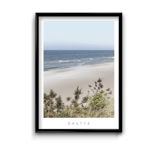 Plakat Bałtyk #6 Bury Lis