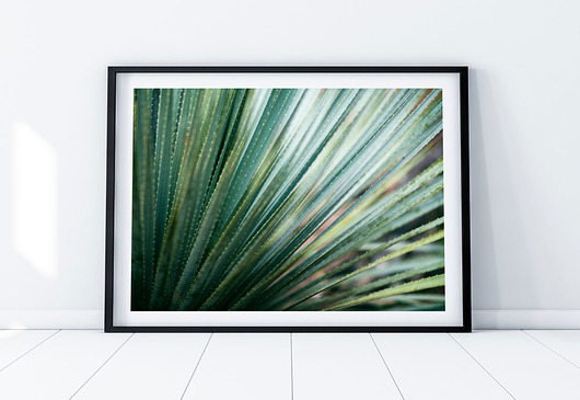 Plakat Green plants 2 COLORMINT
