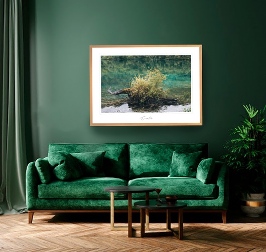 grafiki i ilustracje Fotografia autorska