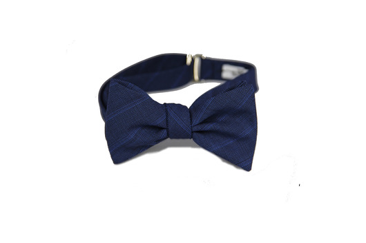 Muszka jedwabna #2 The Bow Bow Ties