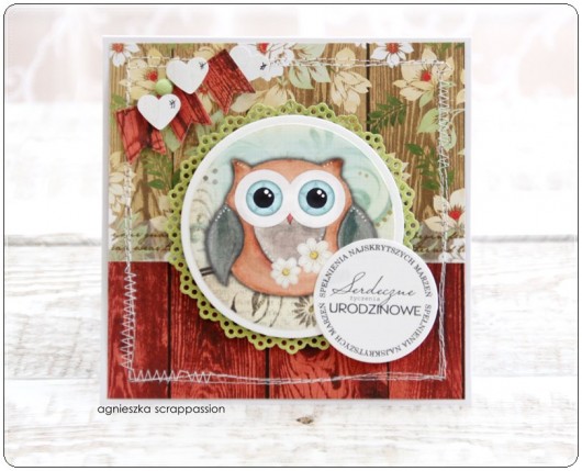 kartki scrapbooking  z sówką na urodziny