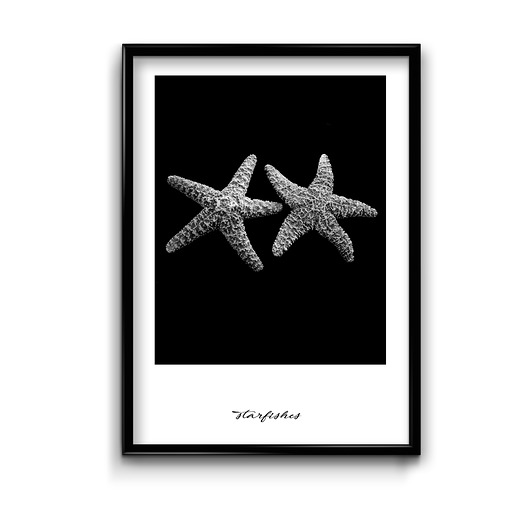 Starfishes - plakat  Bury Lis