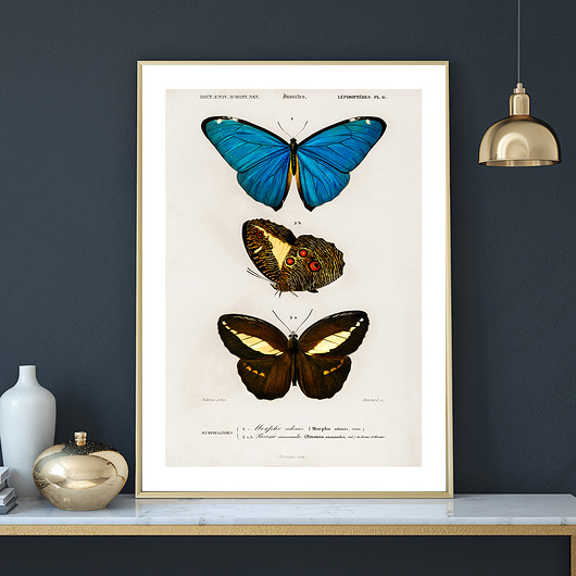 Plakat BUTTERFLIES no.4 muybien