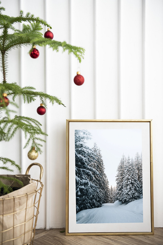 fotografia PLAKAT  zimowy śnieg góry las