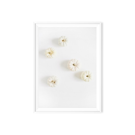 Plakat minimalistyczny botaniczny Dynie myscandi