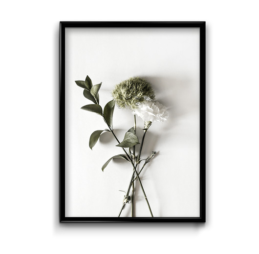 plakaty Plakat Floral No.11 