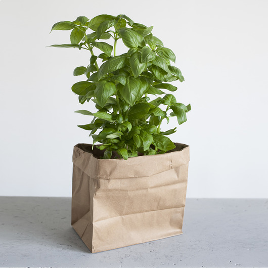 Mały worek papierowy  ekodizajn 43 cm ekodizajn