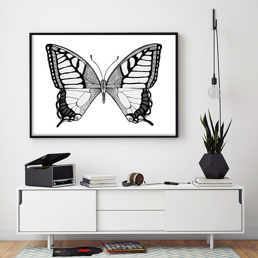 Motyl 50x70cm Malgorzata Domanska