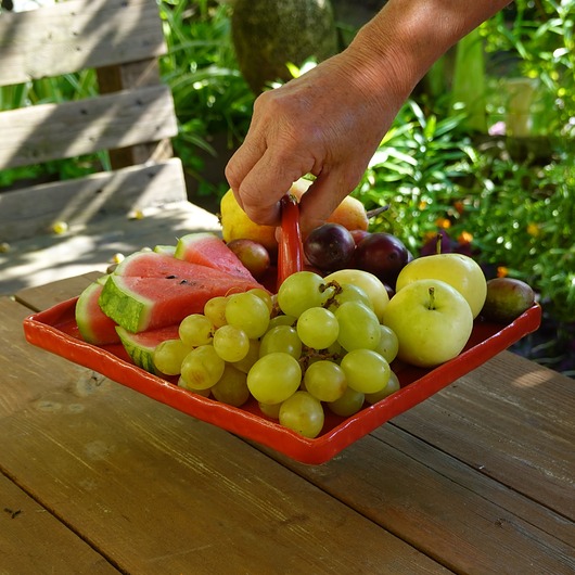 patery i talerze Patera czerwona