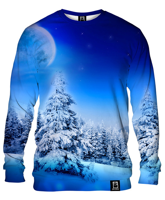 bluzy męskie Bluza Bez Kaptura Męska DR.CROW Winter Moon Night