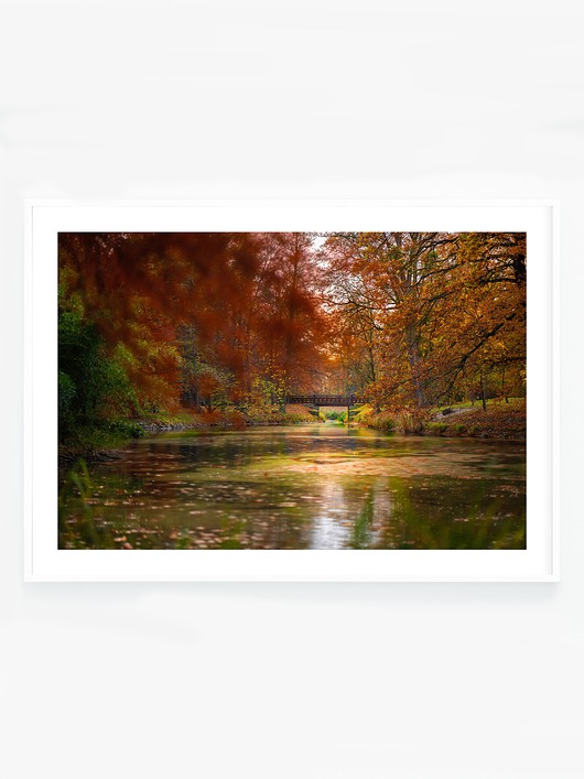 fotografia Jesień w parku