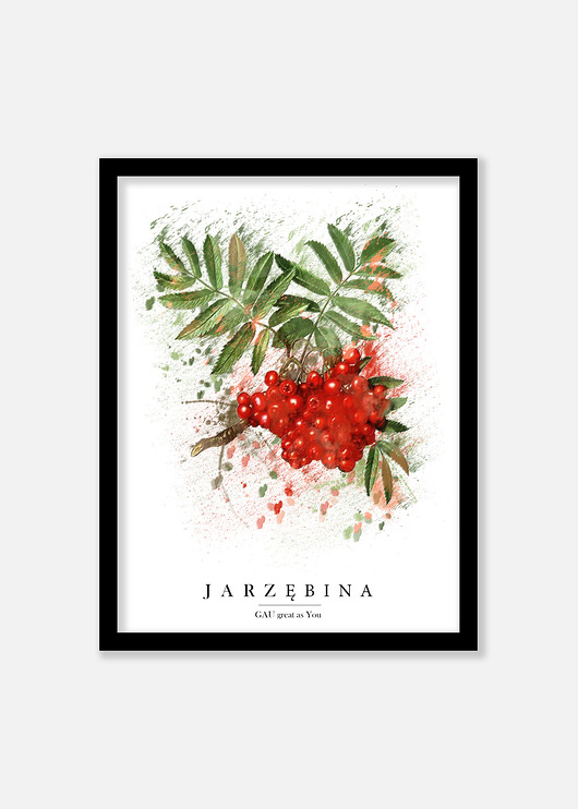 Jarzębina Plakat GAU Home