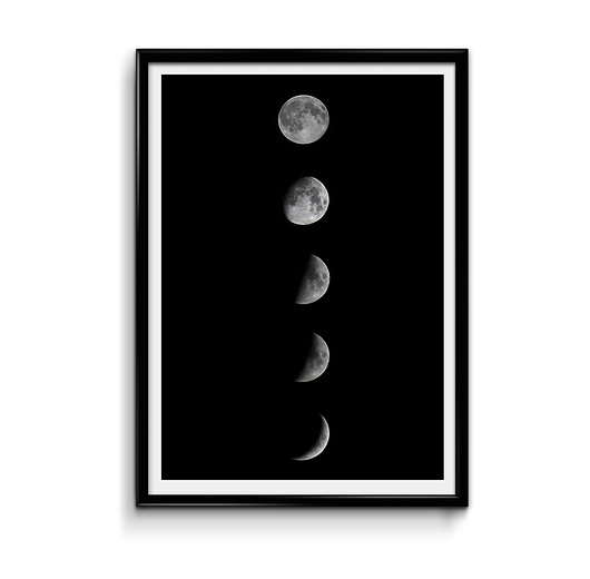 Plakat Fazy księżyca  Bury Lis