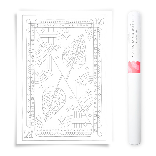 plakaty Plakat do Kolorowania Roślina Doniczkowa Monstera Adasonii 50x70cm