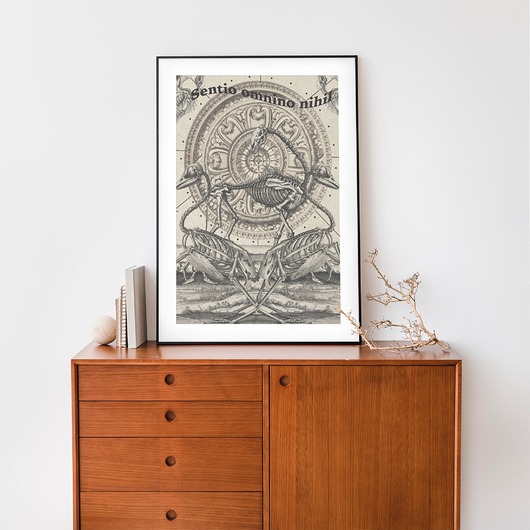 plakaty Plakat Szkielety