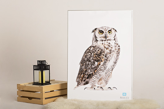 plakaty PLAKAT SOWA 70CM X 100CM (B1)