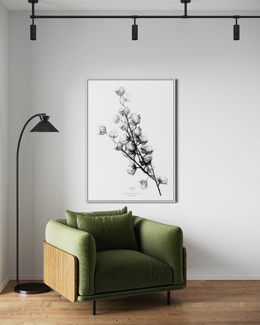 grafiki i ilustracje Kwiaty bawełny / Fine Art Print