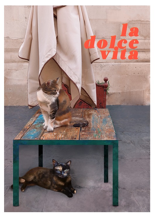 plakaty Plakat La dolce vita