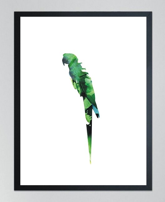 PAPUGA 4- poster,40x50 cm KOKO by HOKO