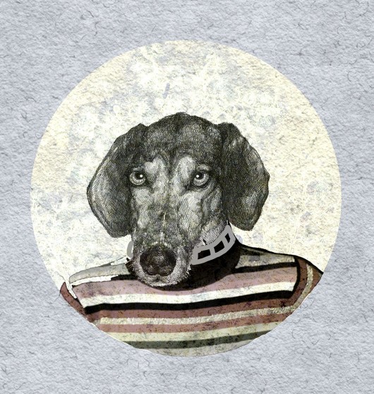 Gustaw- jamnik BOSKE