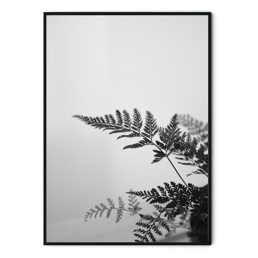 Plakat botaniczny Urban jungle myscandi