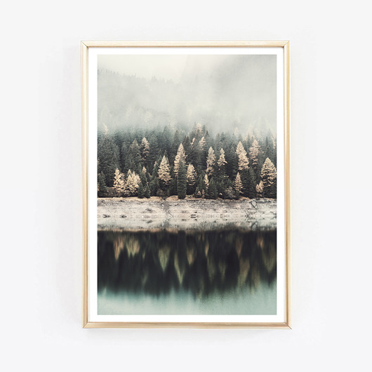 Forest,plakat,grafika,fotografia wejustlikeprints