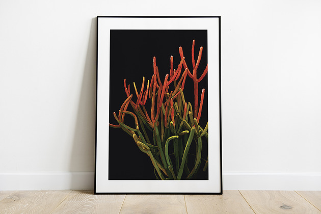 grafiki i ilustracje Roślina - grafika cyfrowa (PRINT)