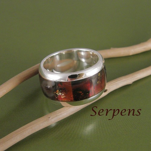 Równik Serpens
