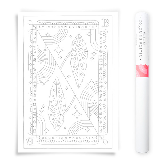 plakaty Plakat do Kolorowania Roślina Doniczkowa Begonia 50x70cm