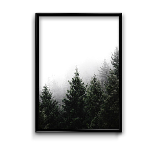 Plakat Deep forest #2  Bury Lis