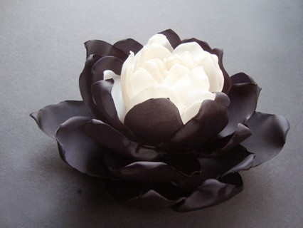 ZEBERKA SundayRose