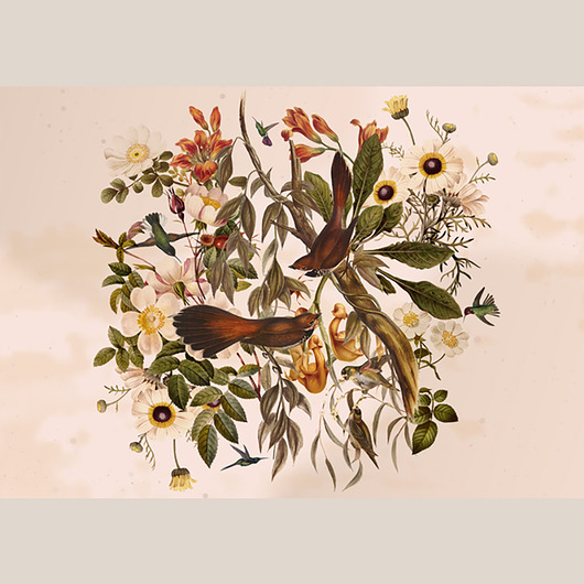 grafiki i ilustracje Plakat - Ogród no. 2