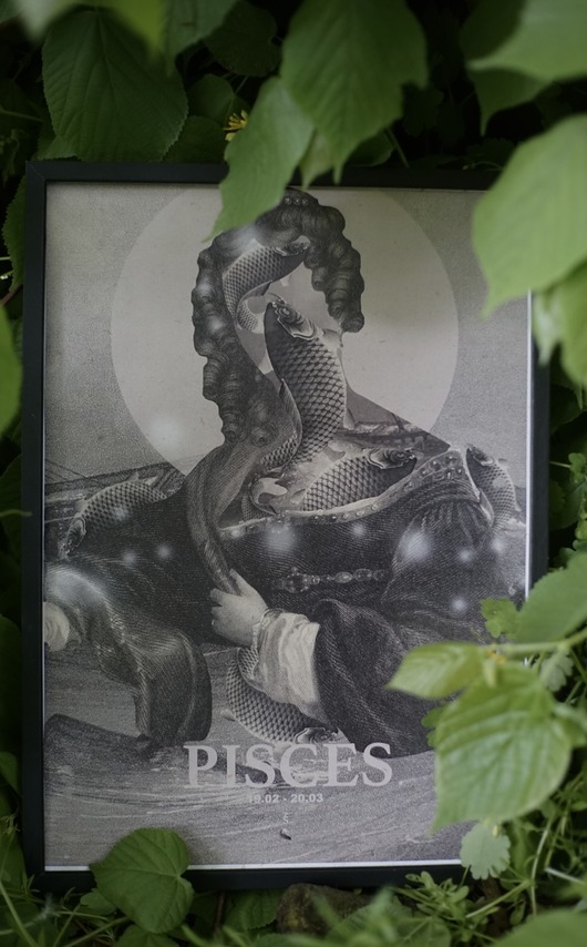 plakaty Plakat Pisces