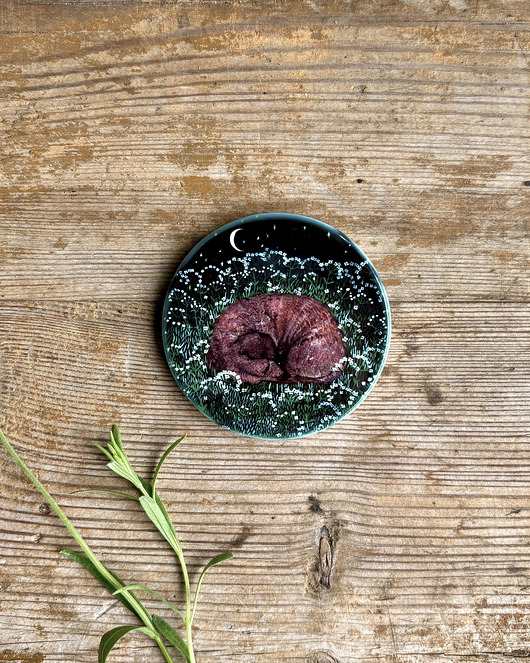 magnesy Śpiący jamniczek- Jamnik- Magnes ceramiczny- Ilustracja- Zwierzaki