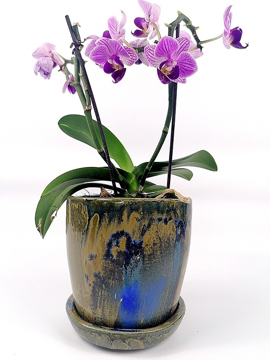 Donica ceramiczna poLEPIONE