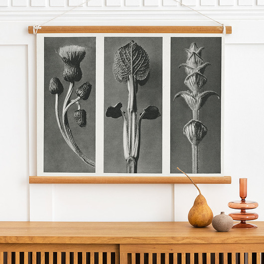 plakaty Plakat Vintage Plants  50x70 cm