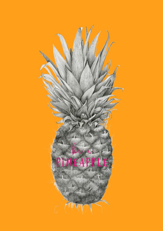 plakaty Plakat  Ananas comosus II